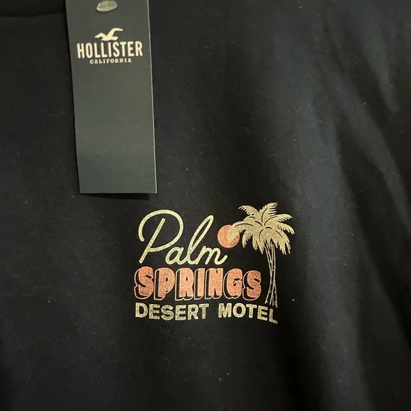 Hollister NWT Men's Palm Springs Navy Tee - Picture 2 of 4